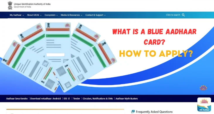 What is a Blue Aadhaar Card